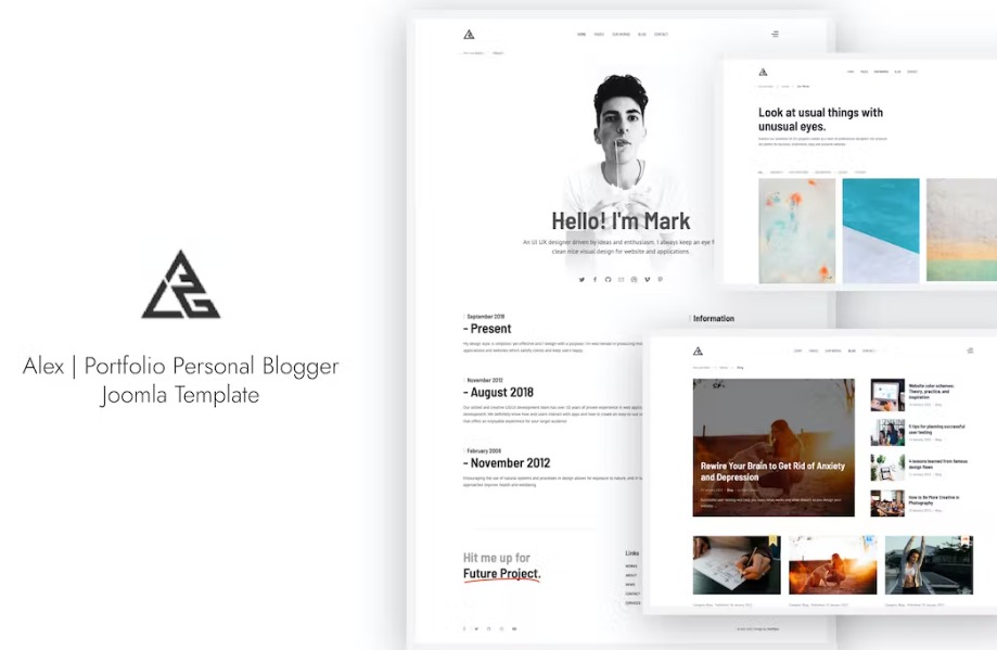 Free Alex Portfolio Personal Blogger Joomla Template Download