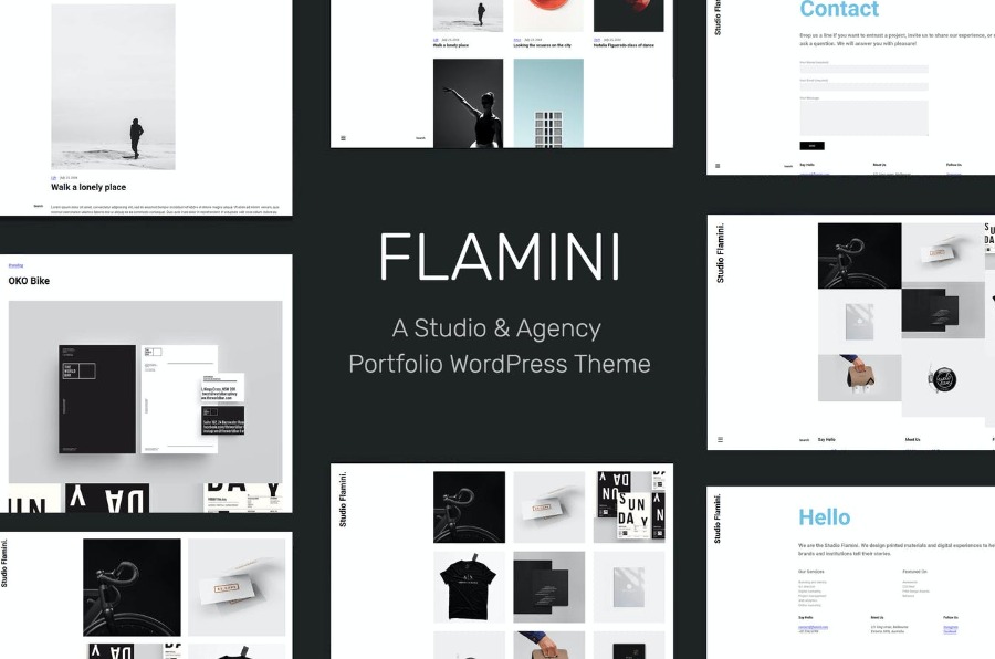 Flamini Studio Agency Portfolio WordPress Theme for Elementor